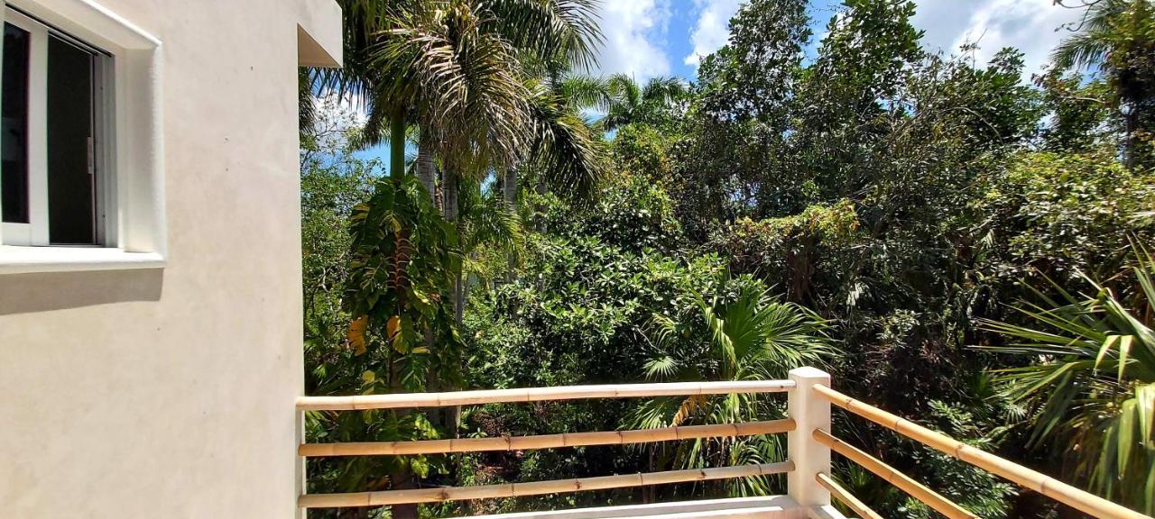 New! Casa Xola Cenote And Fauna Loft Cozumel Exterior foto