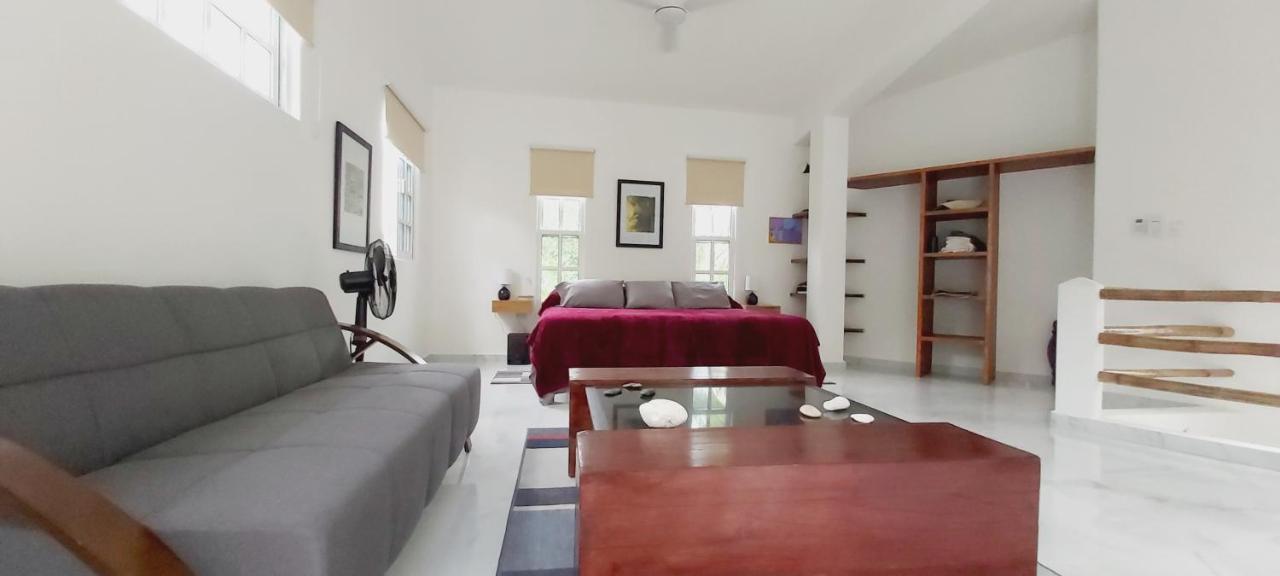 New! Casa Xola Cenote And Fauna Loft Cozumel Exterior foto