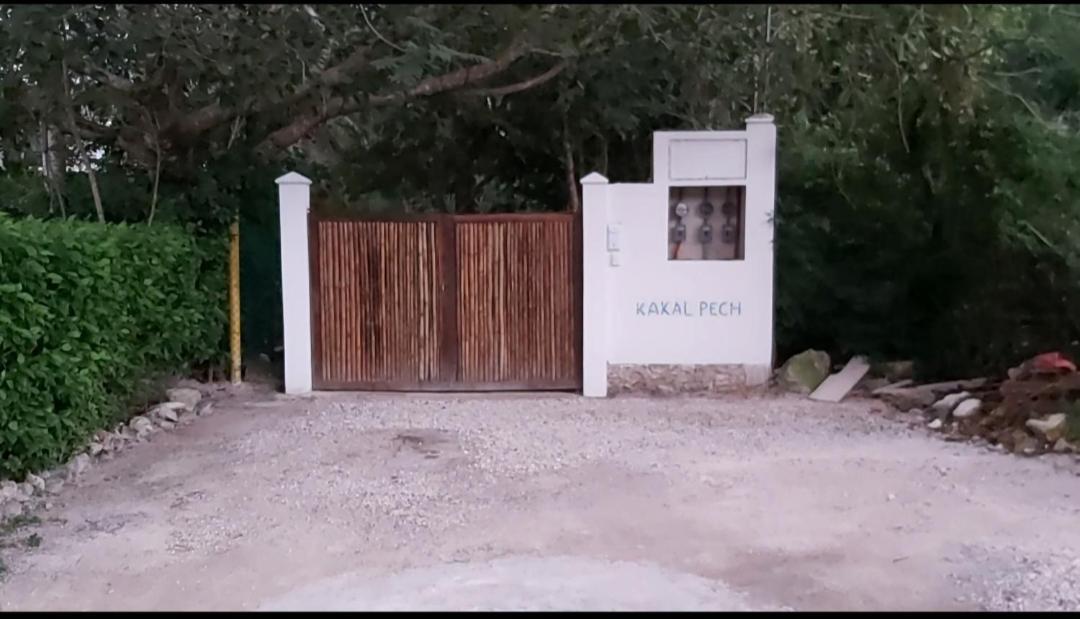 New! Casa Xola Cenote And Fauna Loft Cozumel Exterior foto